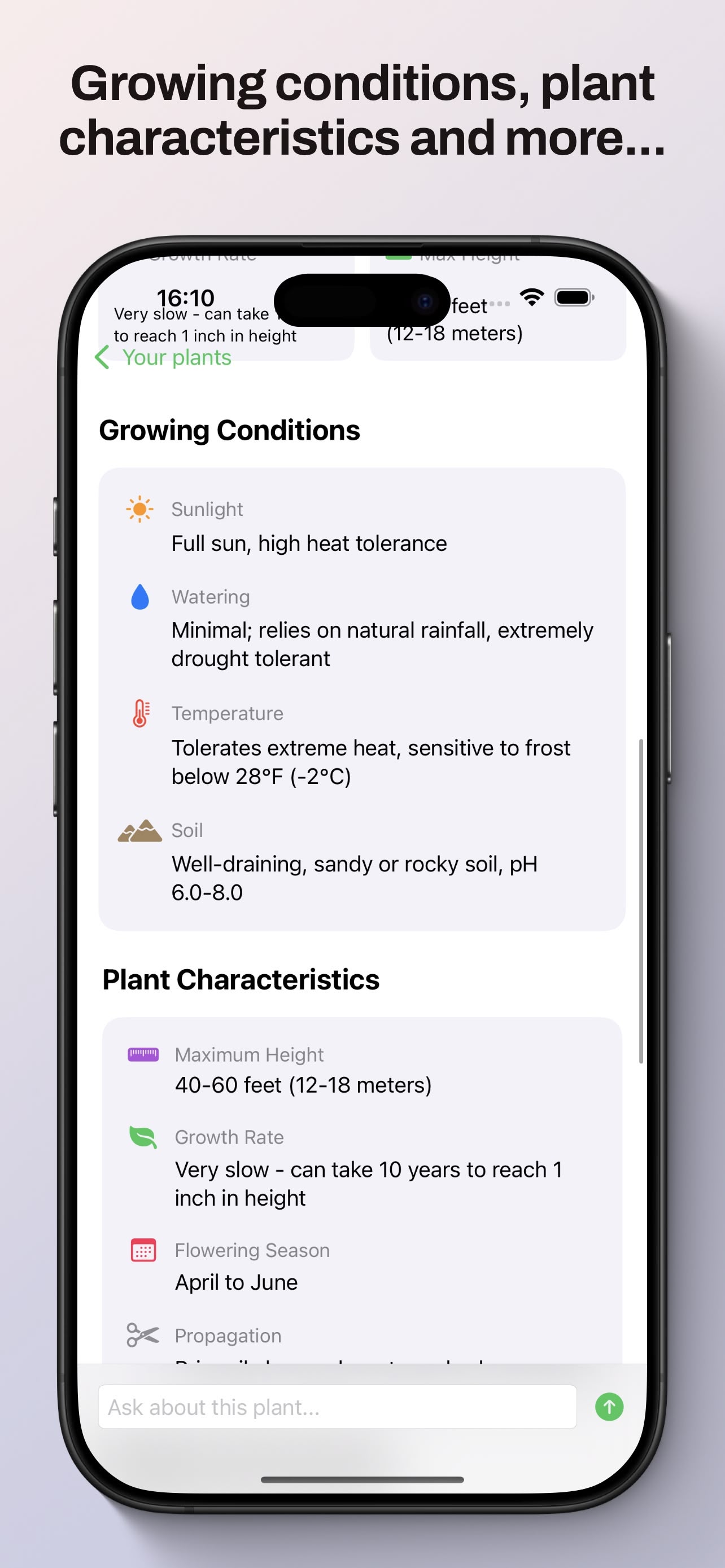Growing Conditions and Plant Characteristics